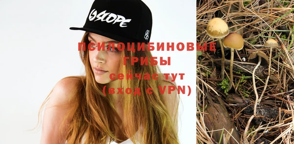 спайс Абаза
