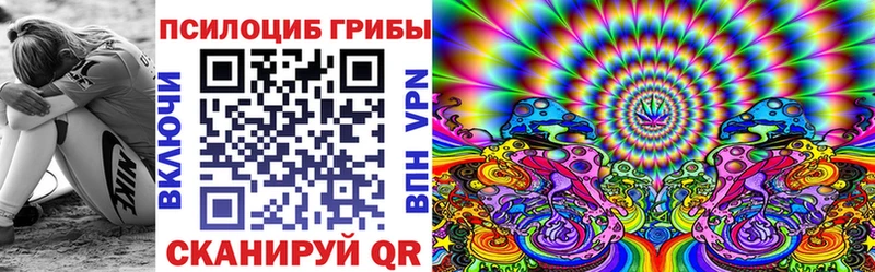 Псилоцибиновые грибы GOLDEN TEACHER магазин продажи наркотиков KRAKEN зеркало Приморско-Ахтарск