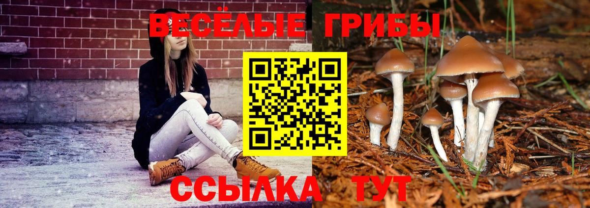 Псилоцибиновые грибы ЛСД  Вход с VPN  Приморско-Ахтарск 
